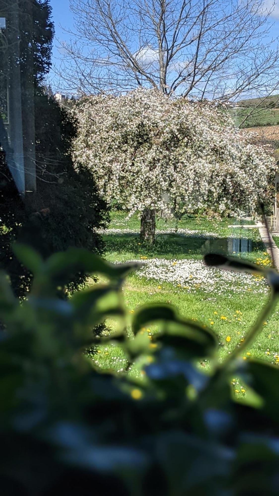 Le Clos Du Perret Chaussan Esterno foto